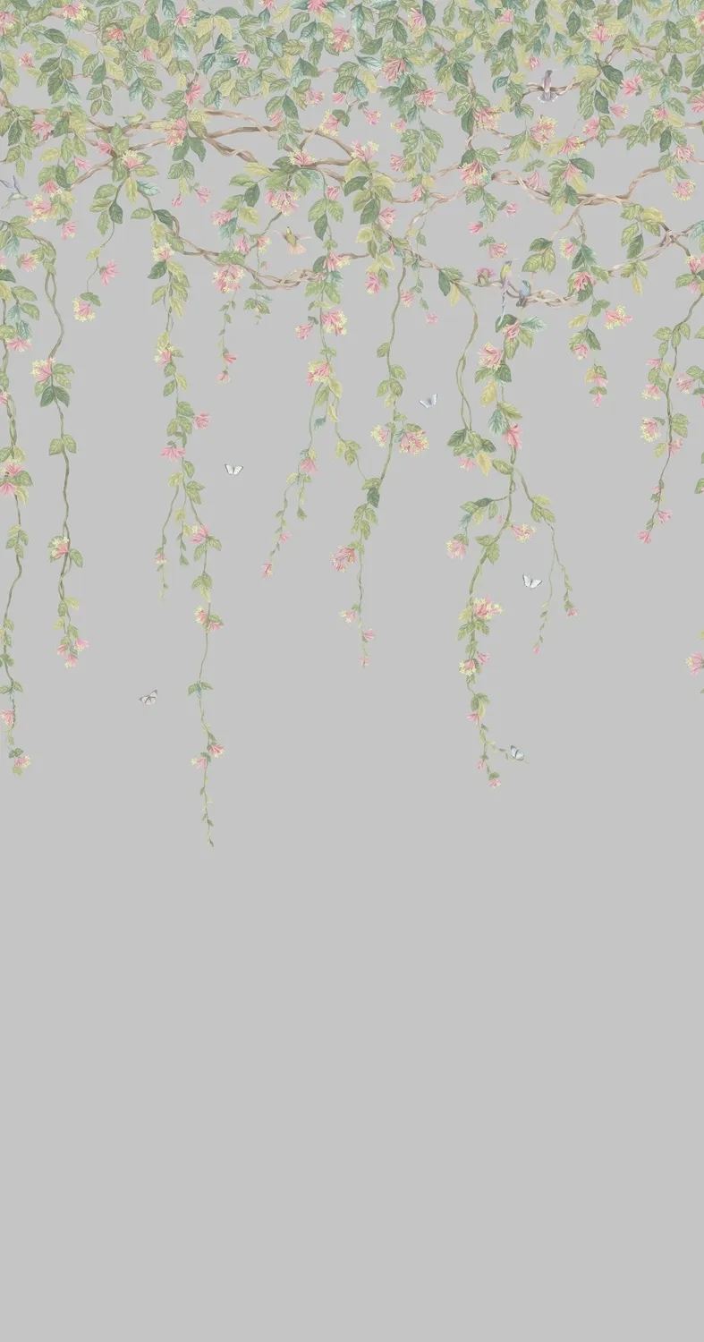 Cole & Son Hummingbirds Flora Tapete Kolibris