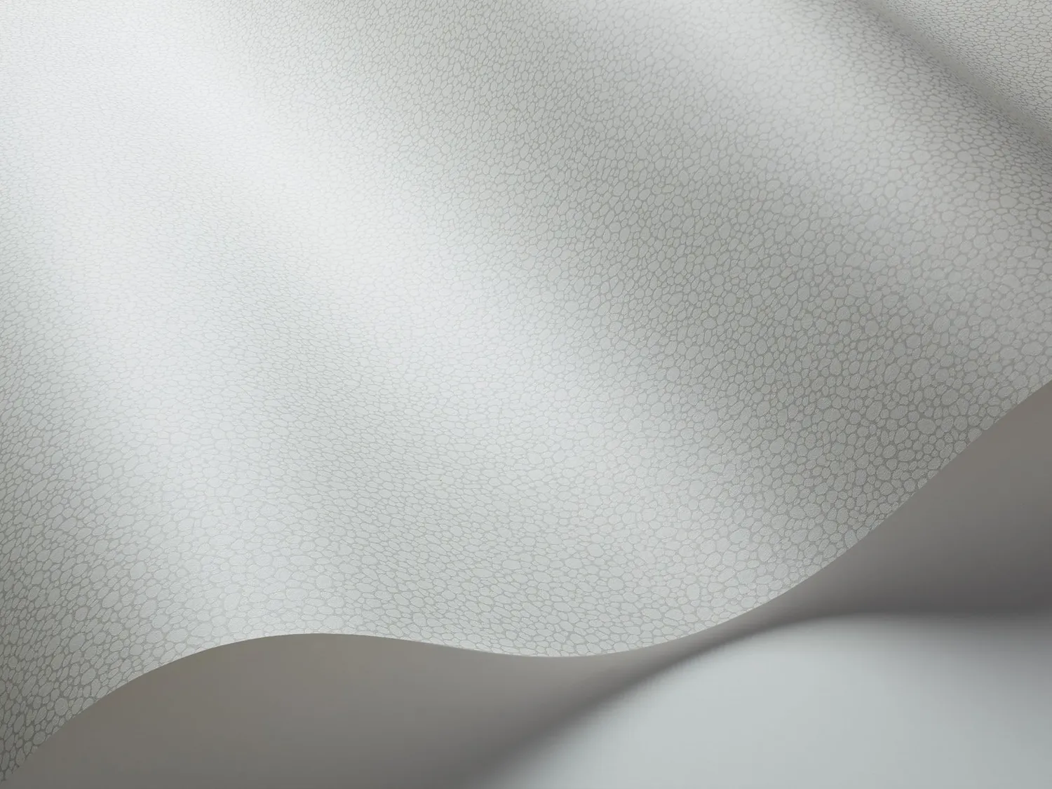 Cole&Son Pebble Sample Tapetenmuster