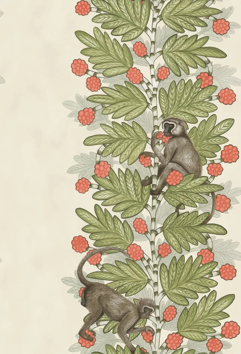 Cole & Son Acacia Tapetenmuster Streifen Affen