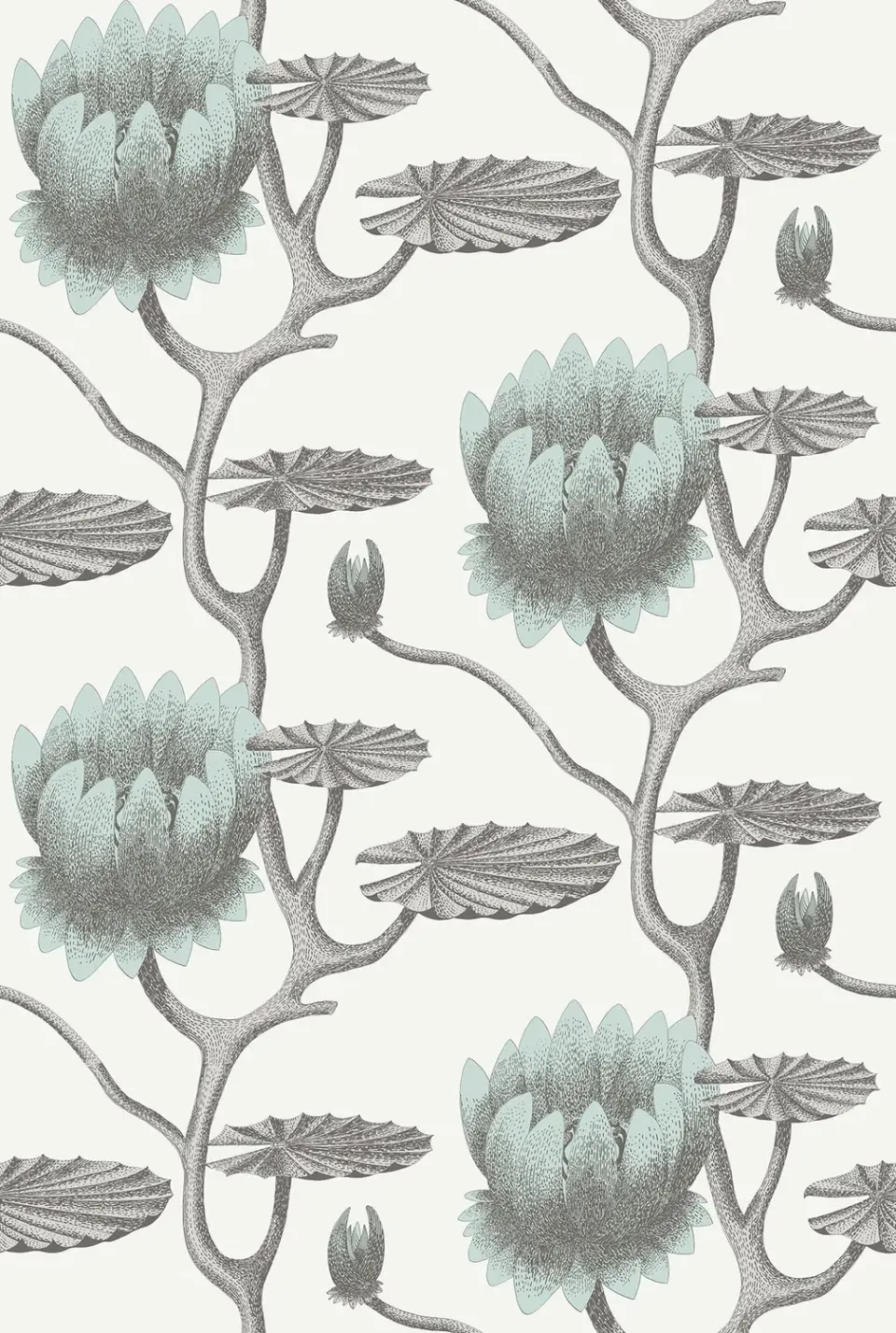 Cole&Son Summer Lily Tapetenmuster Lilie