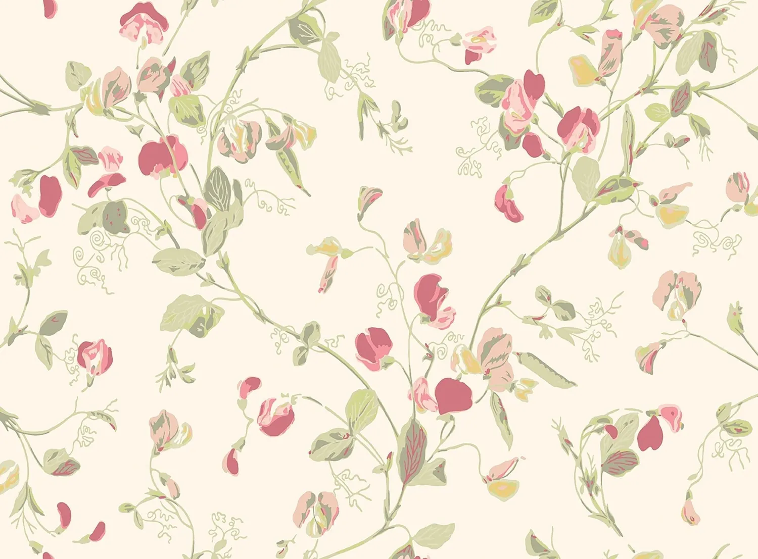 Cole&Son Sweet Pea Tapetenmuster