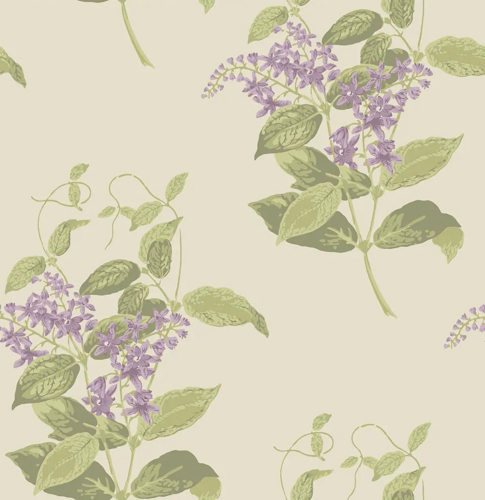 Cole & Son Madras Violet Tapetenmuster floral