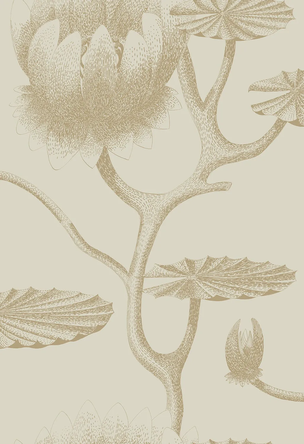Cole & Son Lily Tapetenmuster Seerosen