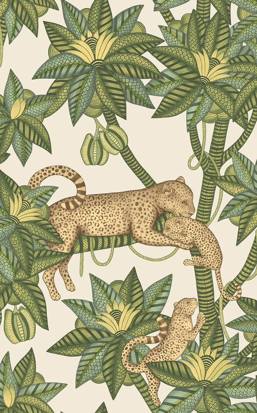 Cole & Son Ardmore Jabula Satara Tapetenmuster Leopard