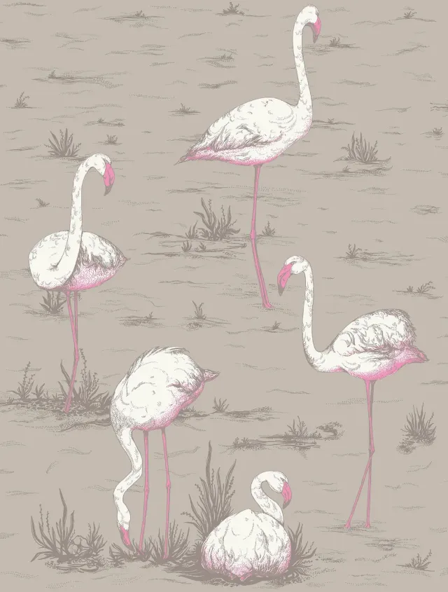 Cole & Son Flamingos Tapete Vogelmuster