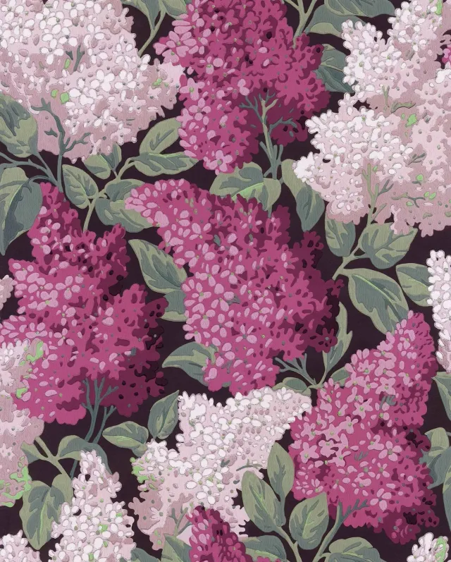 Cole & Son Lilac Grandiflora Tapete 2er-Set