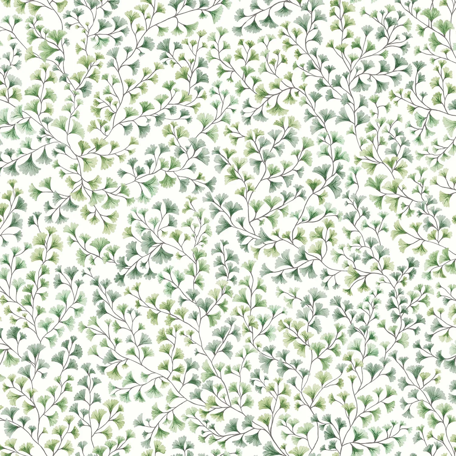 Cole & Son Maidenhair Tapete Ginkgo Aquarell