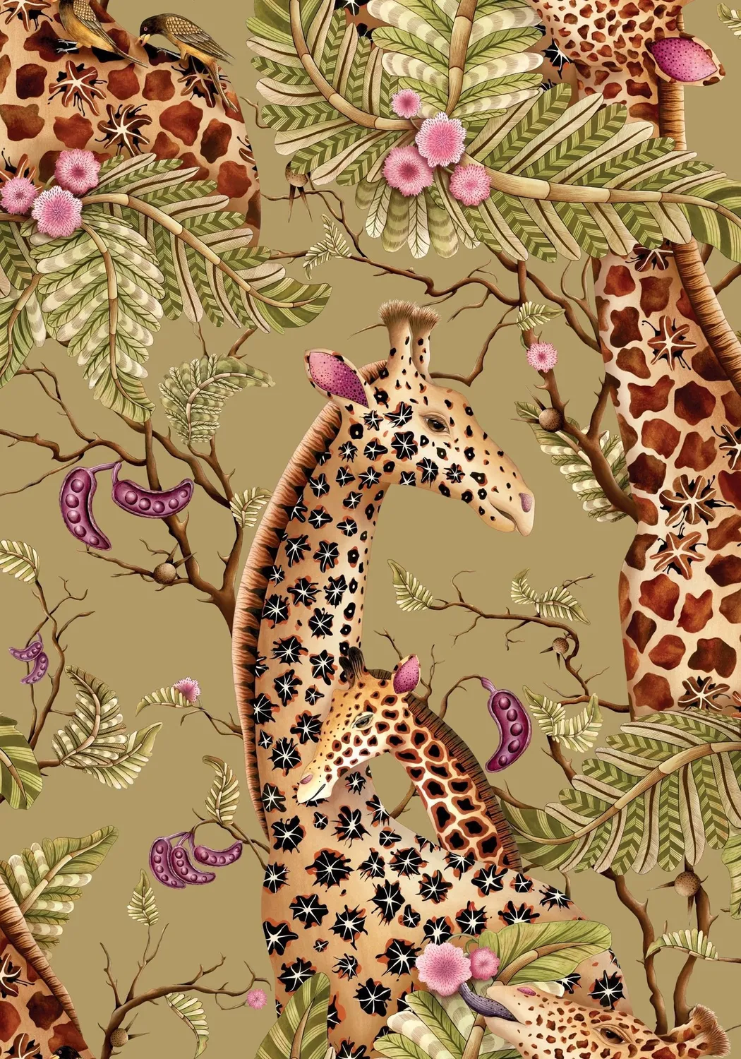 Cole & Son Ardmore Royal Giraffe Tapete Giraffenmotiv