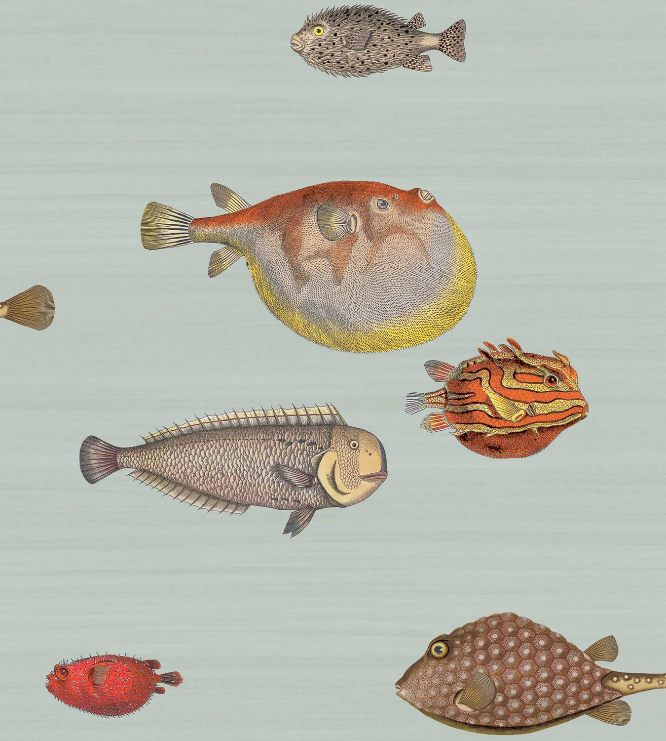 Cole&Son Acquario Tapete
