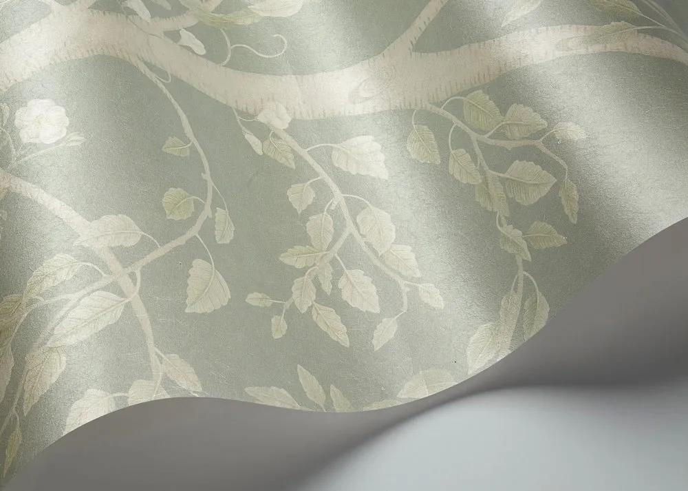 Cole & Son Seasonal Woods Sample Tapetenmuster Birkenwald