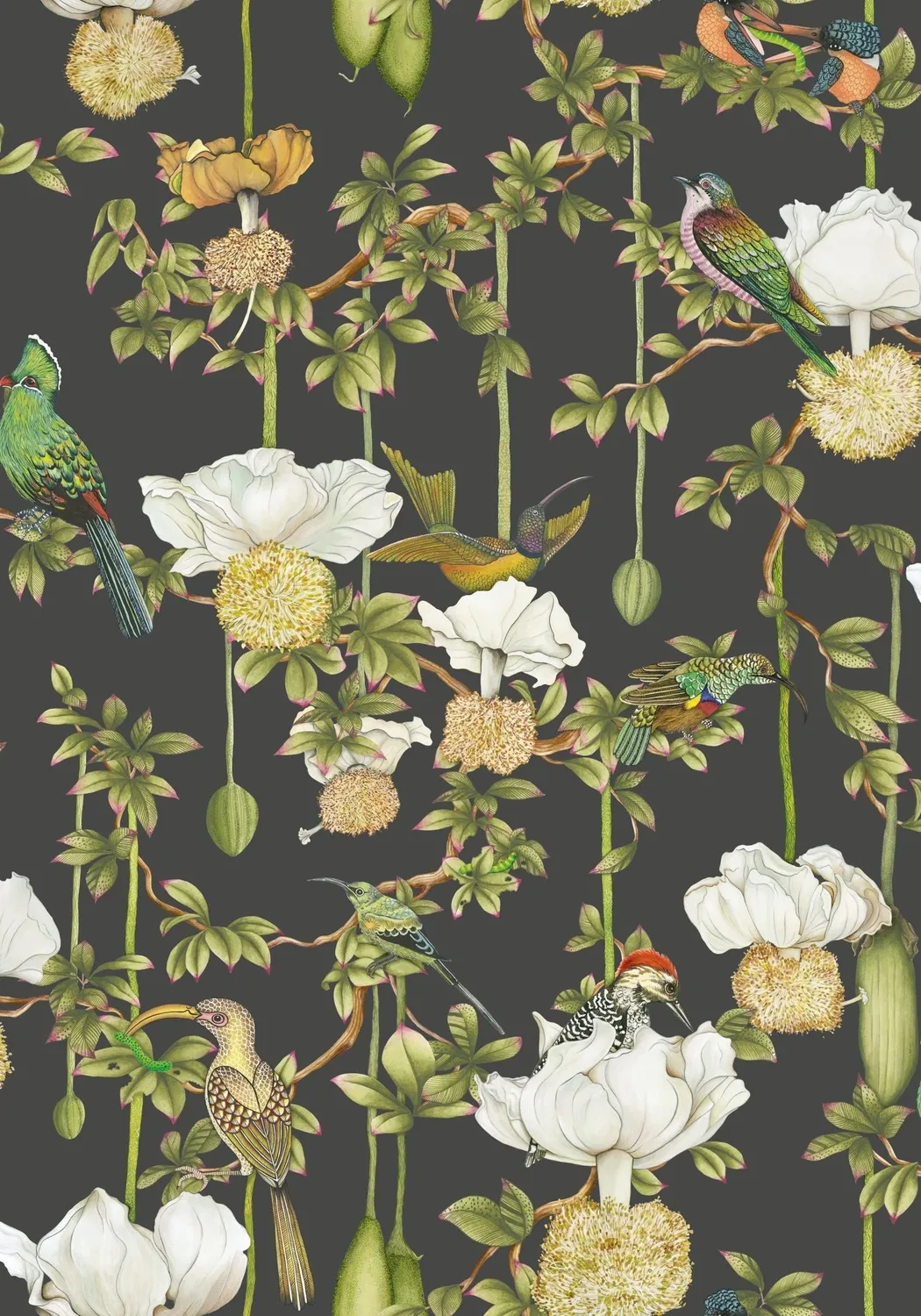 Cole&Son Baobab Botanica Tapete Tier Pflanzenmotiv