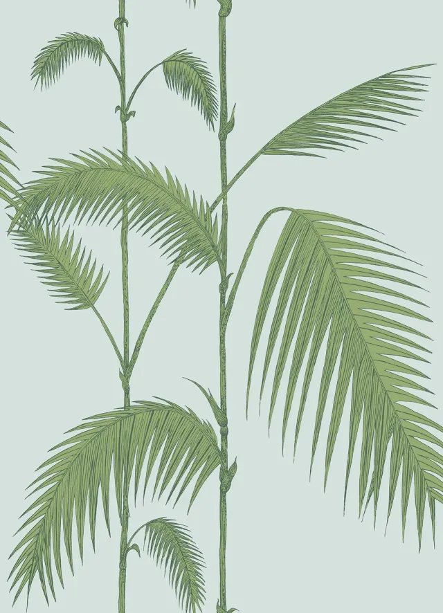 Cole&Son Palm Leaves Sample Tapetenmuster Palm