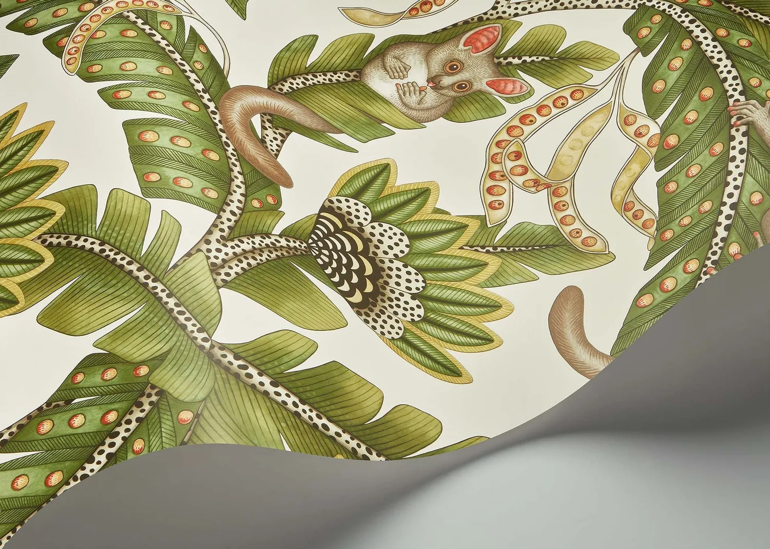 Cole & Son Bush Baby Tapetenmuster Tiermotiv