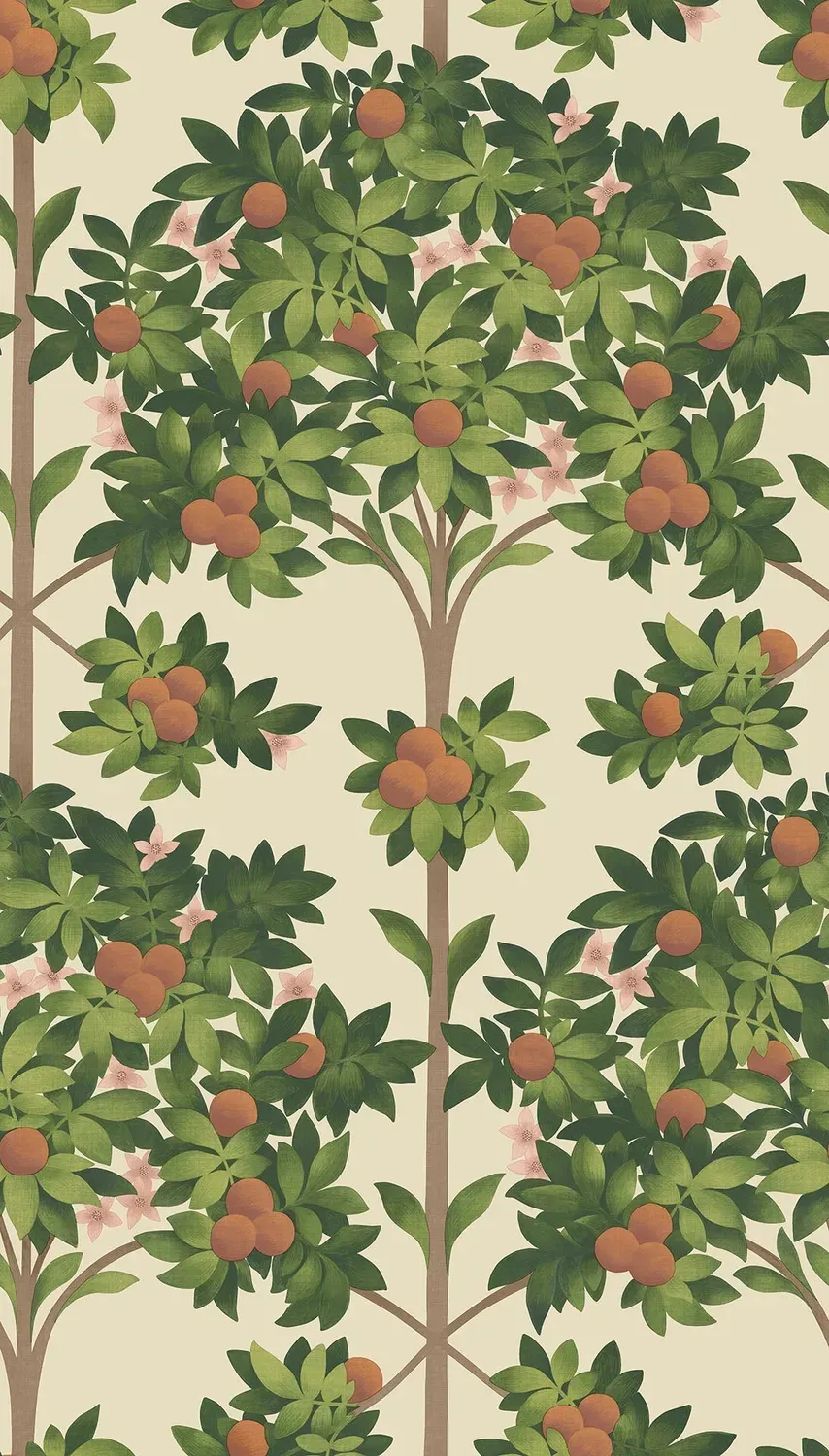 Cole&Son Orange Blossom Muster Tapete Orangenmotiv