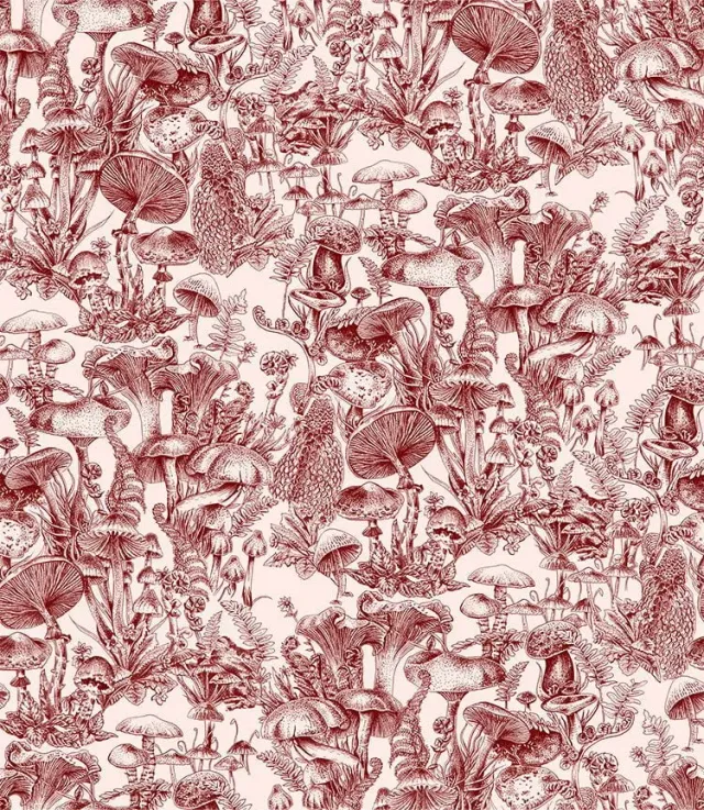 Cole&Son Fungi Forest Tapete extrabreit Pilze