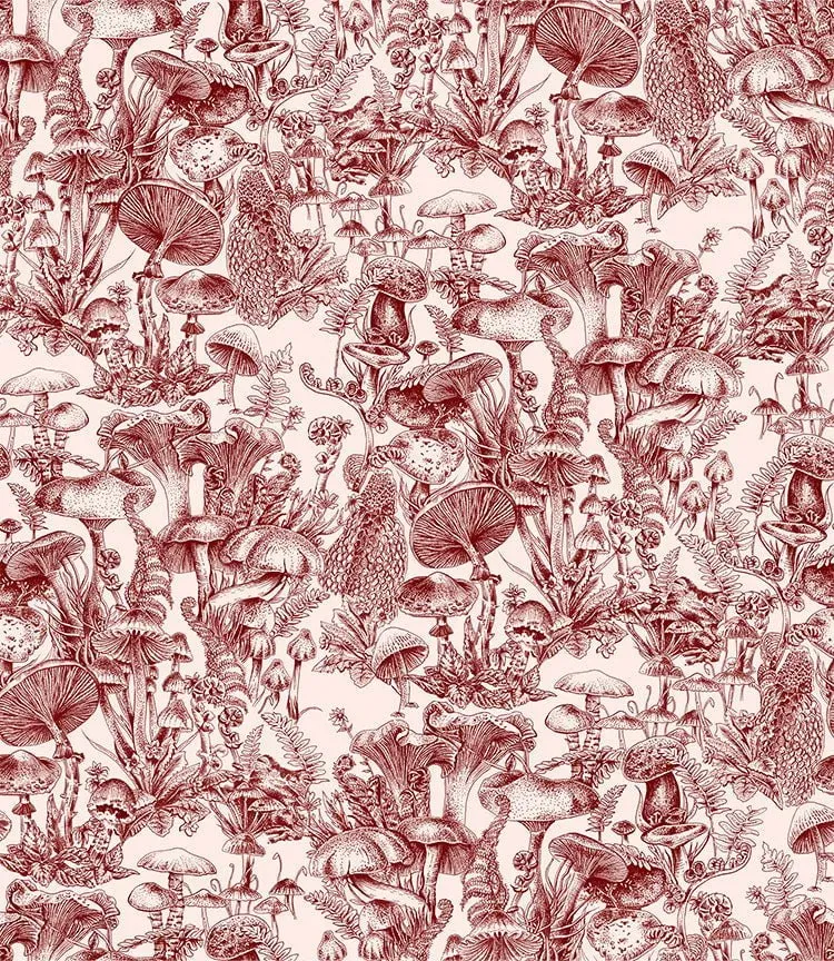 Cole&Son Fungi Forest Tapetenmuster Stella McCartney