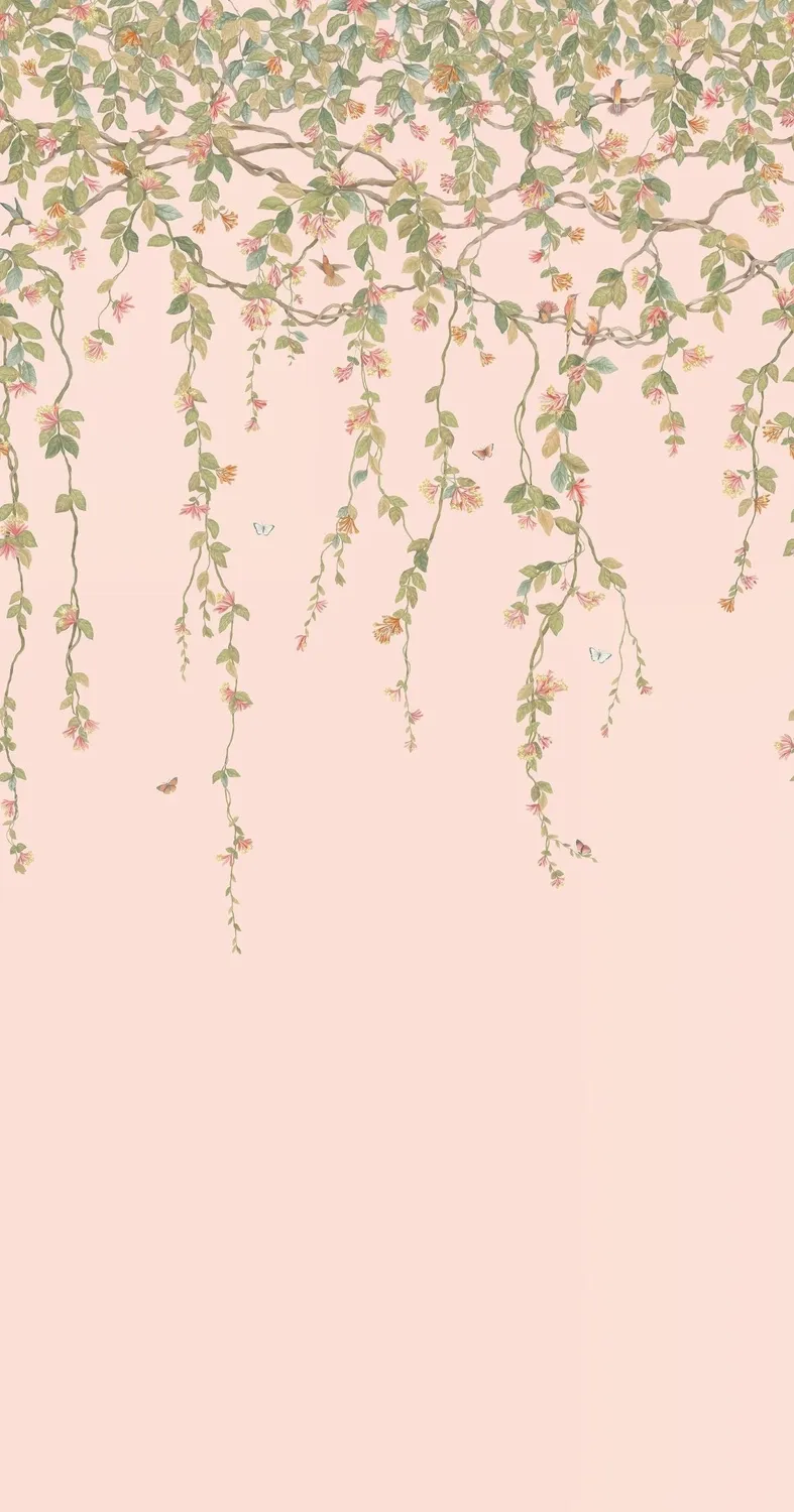 Cole & Son Hummingbirds Flora Tapete Kolibris
