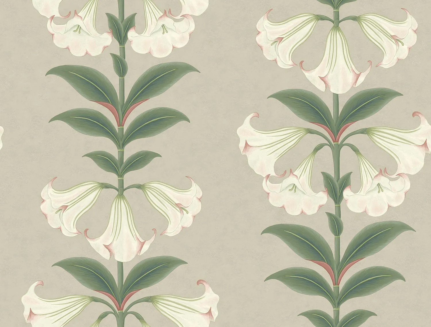 Cole & Son Angel's Trumpet Tapetenmuster floral