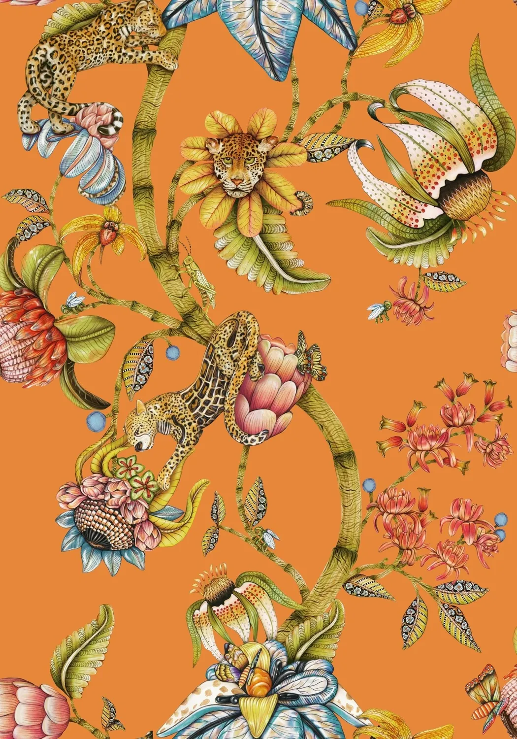 Cole & Son Protea Panthera Tapetenprobe floral