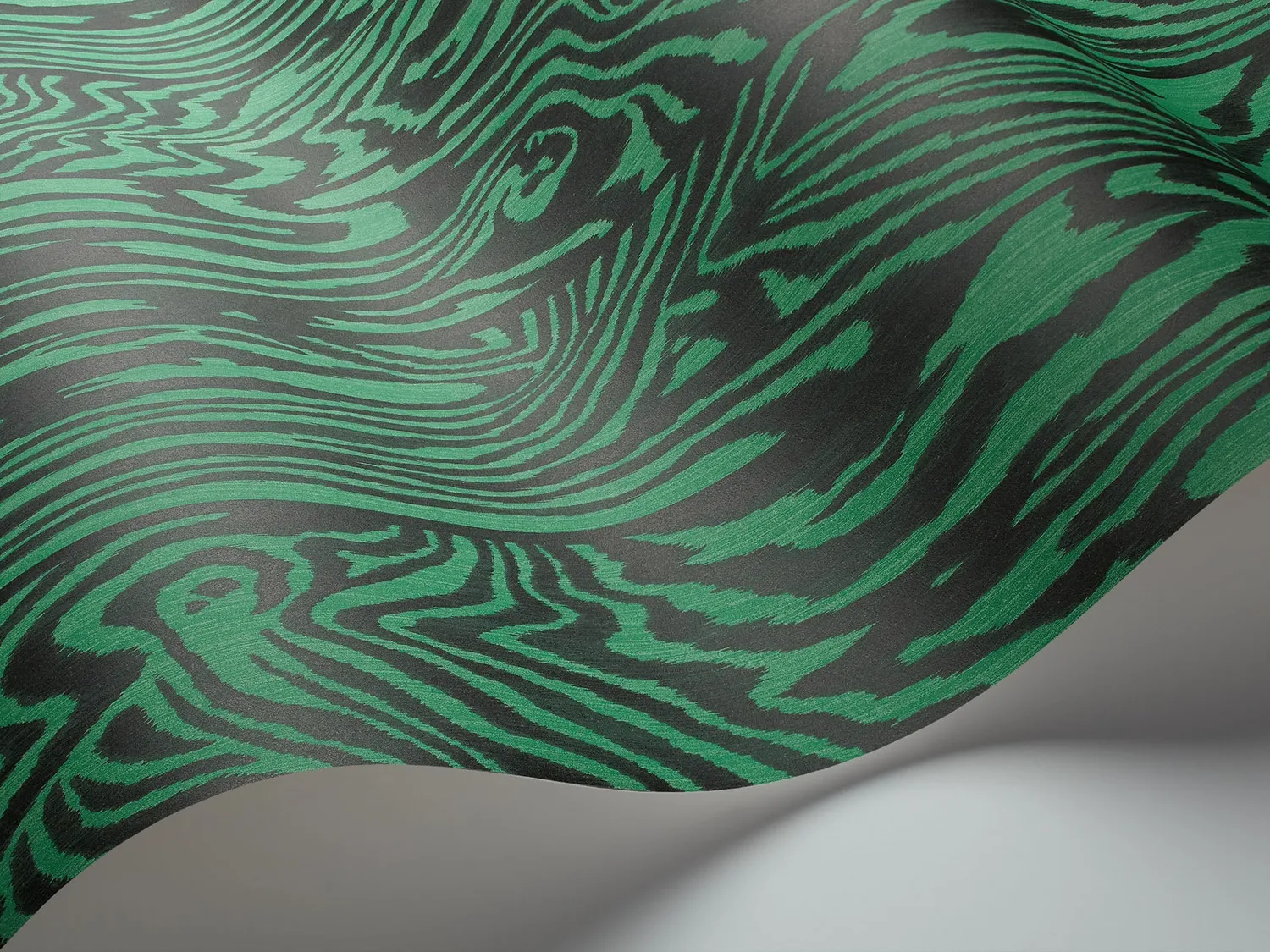Cole&Son Zebrawood Sample Tapetenmuster Holz