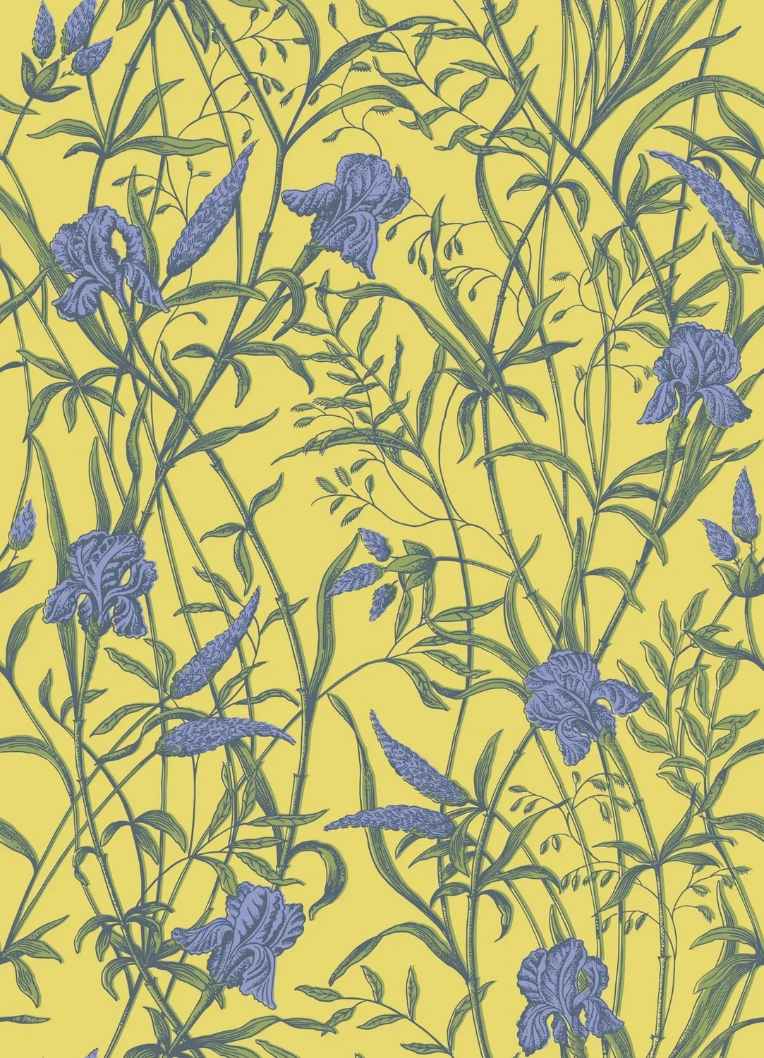 Cole&Son Iris Blumentapete florales Rankenmuster