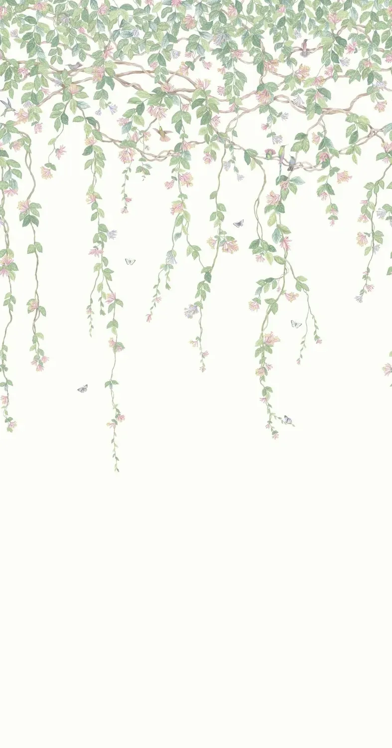 Cole & Son Hummingbirds Flora Tapete Kolibris
