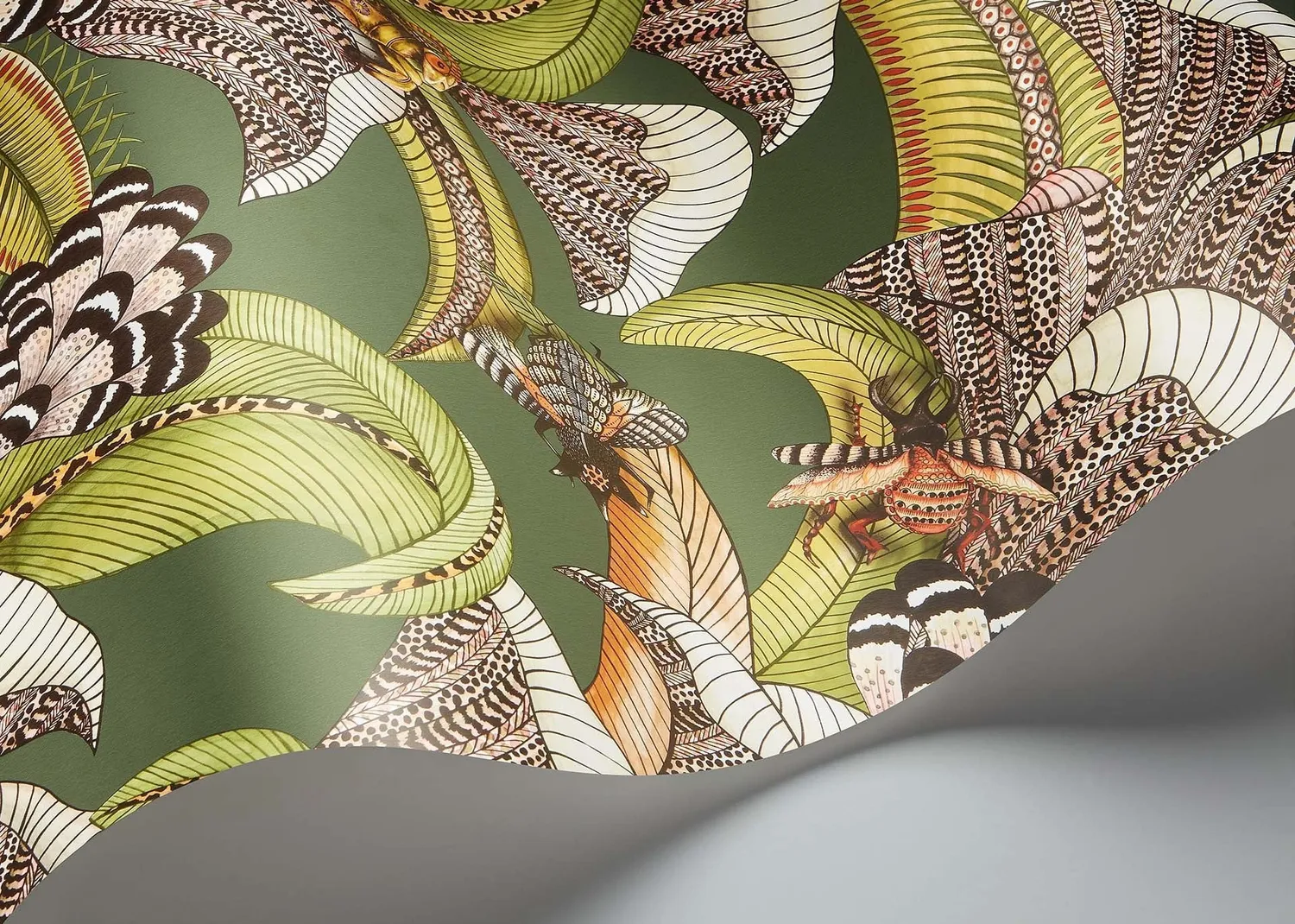 Cole&Son Hoopoe Leaves Tapete Vlies botanisch