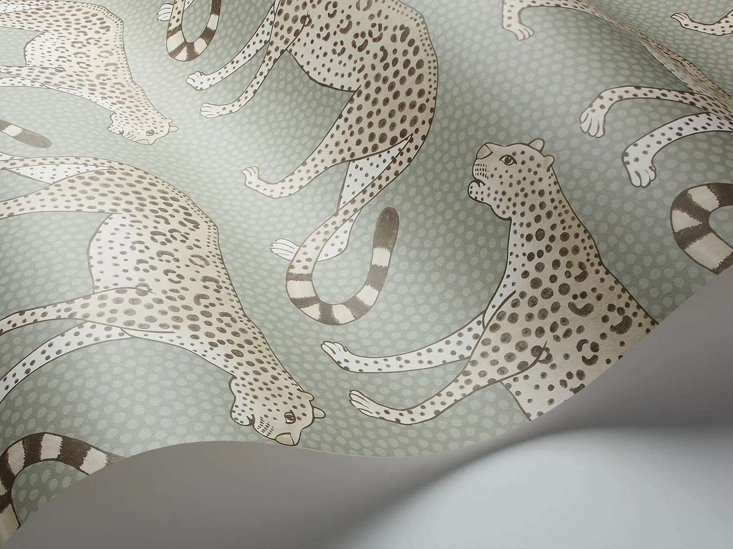 Cole & Son Leopard Walk Tapete Leoparden