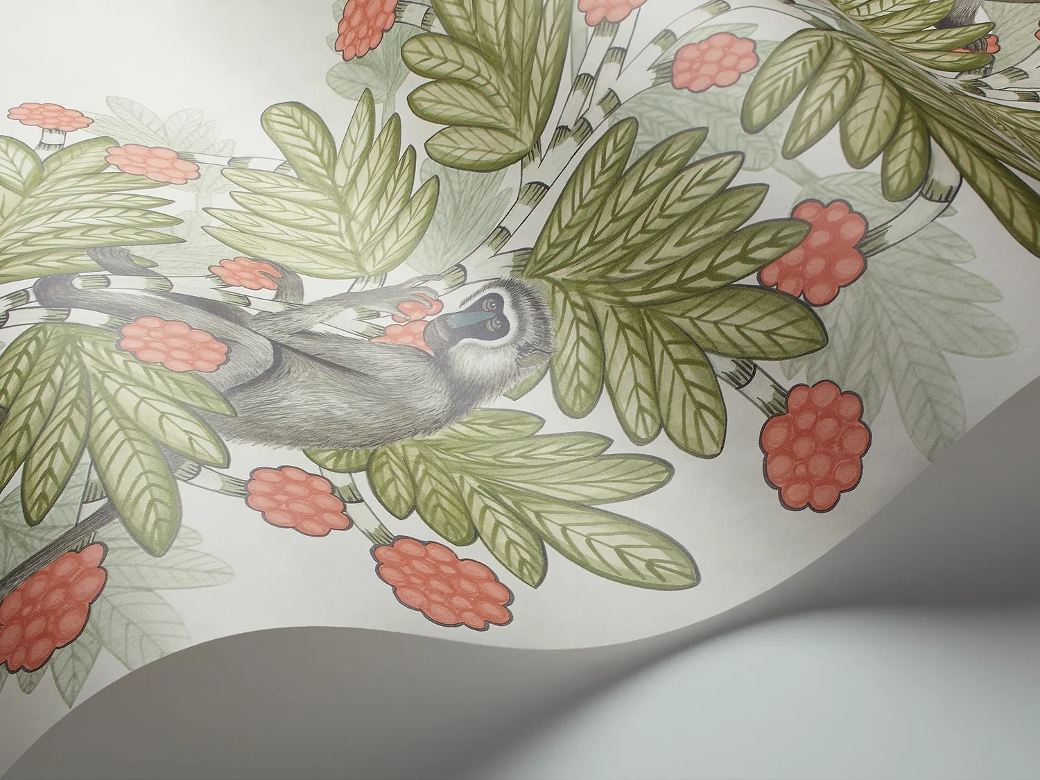 Cole & Son Acacia Tapetenmuster Streifen Affen