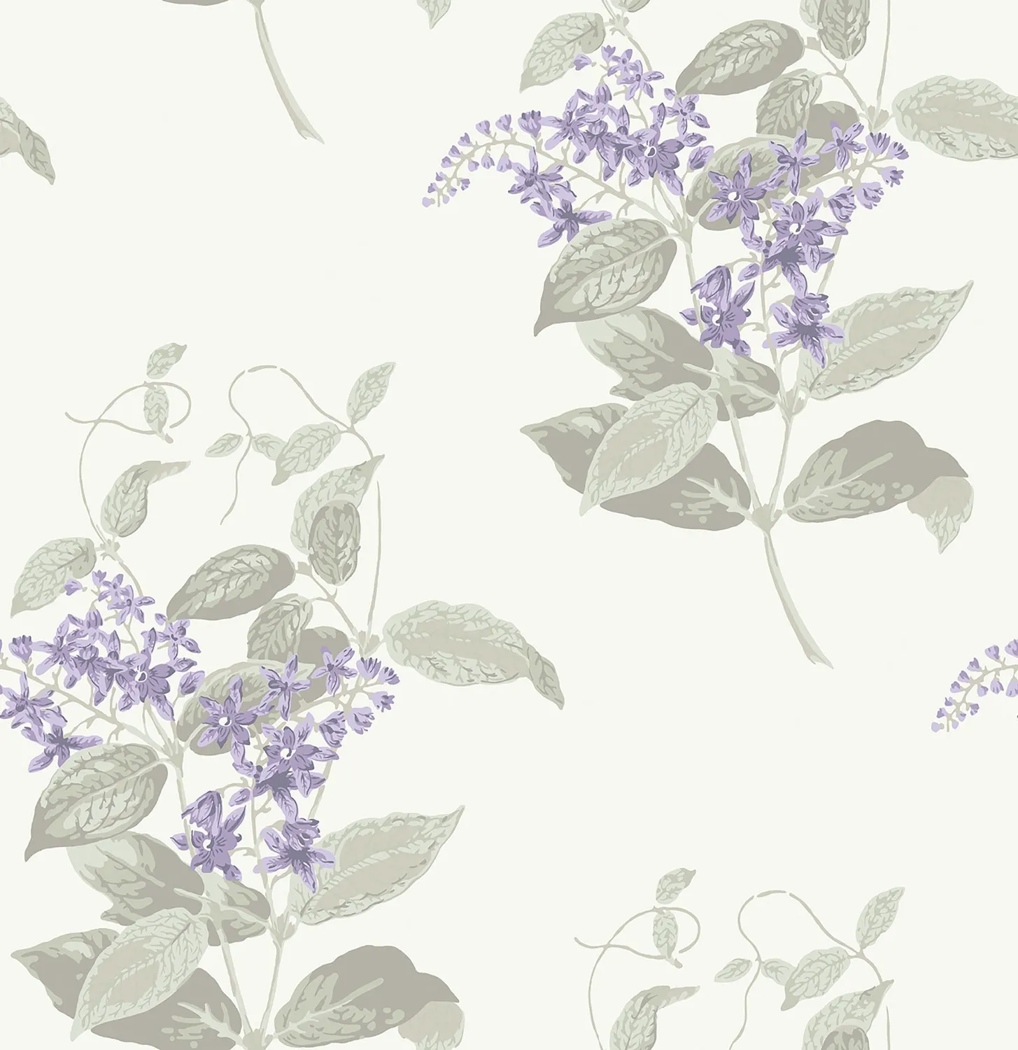 Cole & Son Madras Violet Tapetenmuster floral