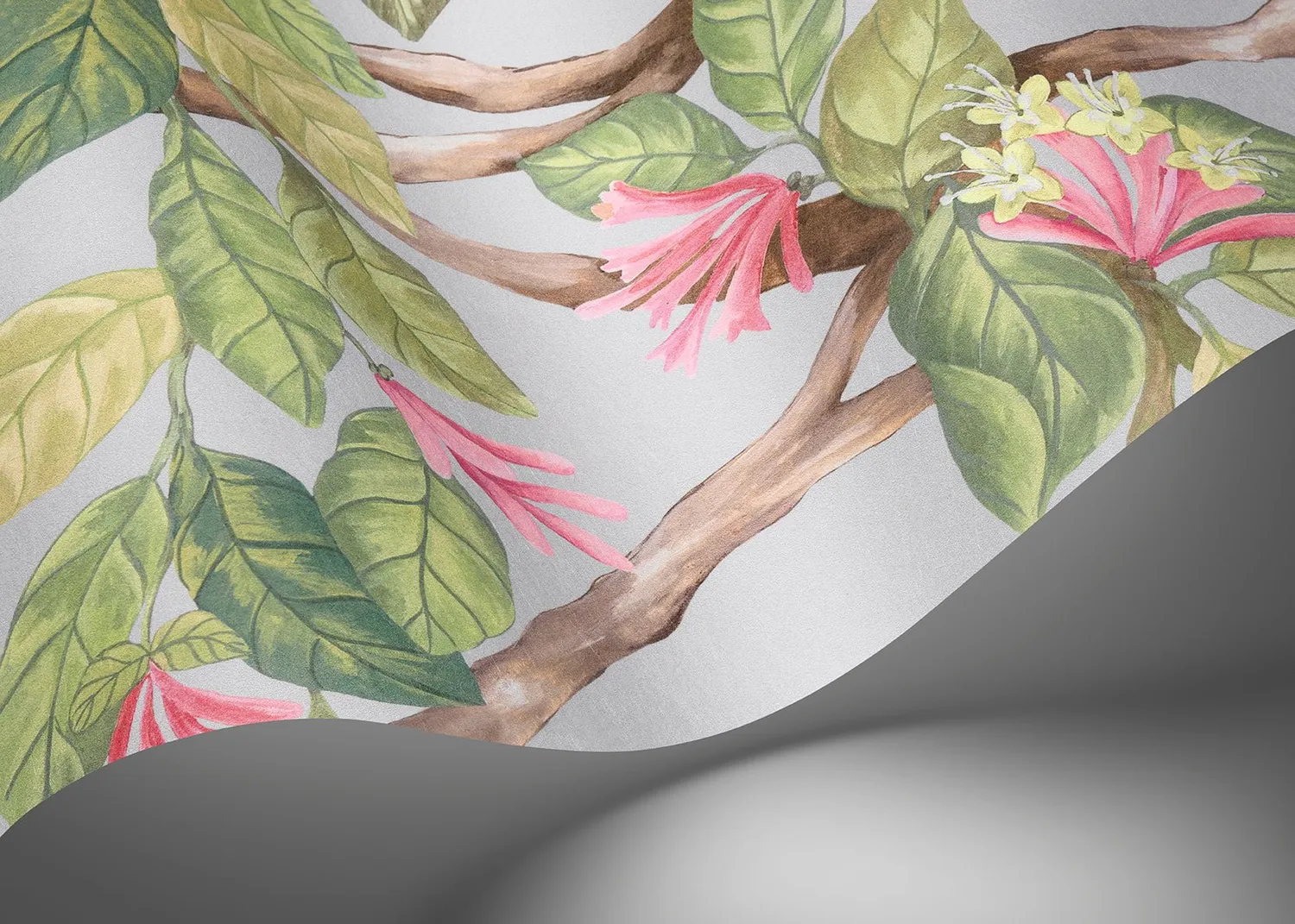 Cole & Son Hummingbirds Flora Tapete Kolibris