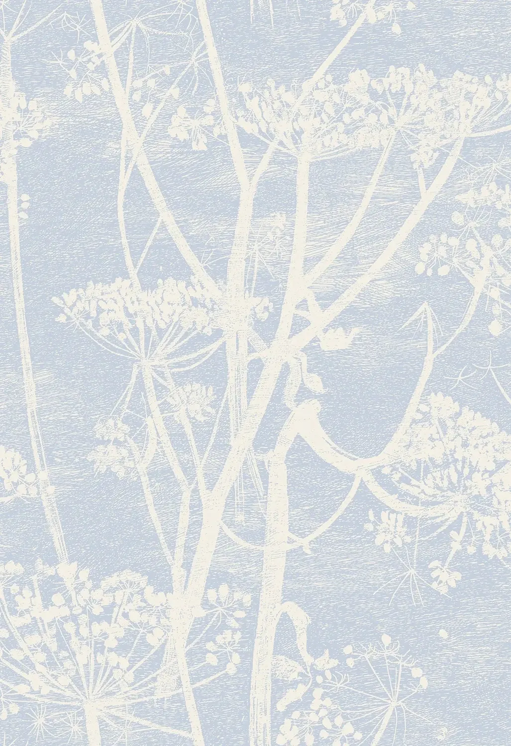Cole&Son Cow Parsley Tapete