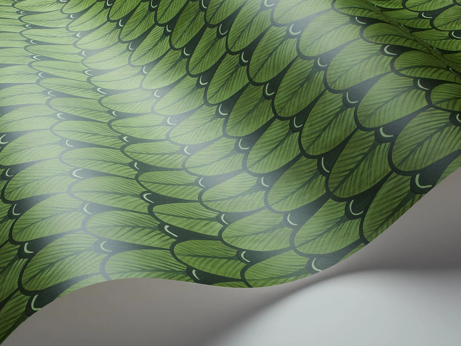 Cole & Son Narina Sample Tapetenmuster Federaquarell