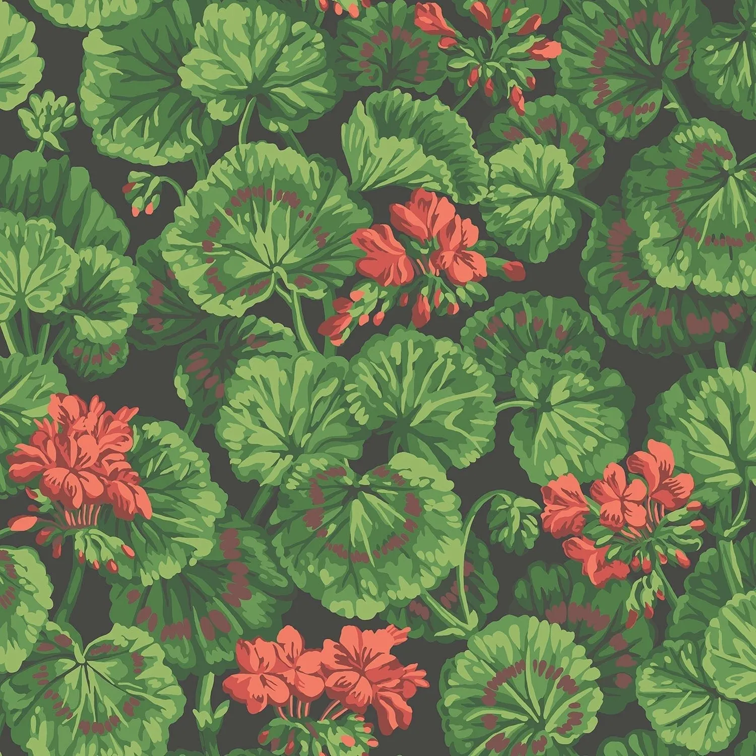 Cole&Son Geranium Sample Tapete
