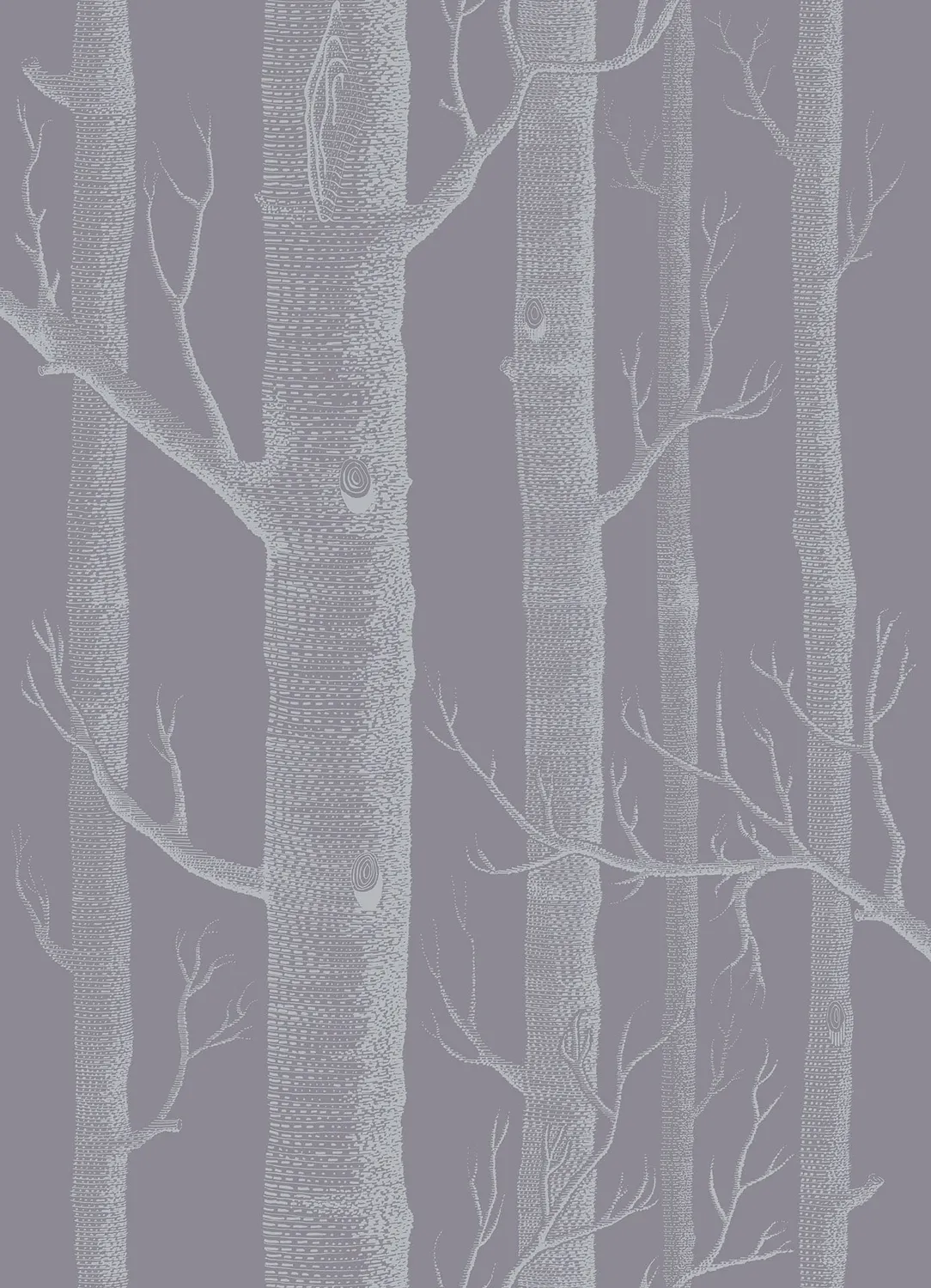 Cole & Son Woods Tapetenmuster Birken-Motiv