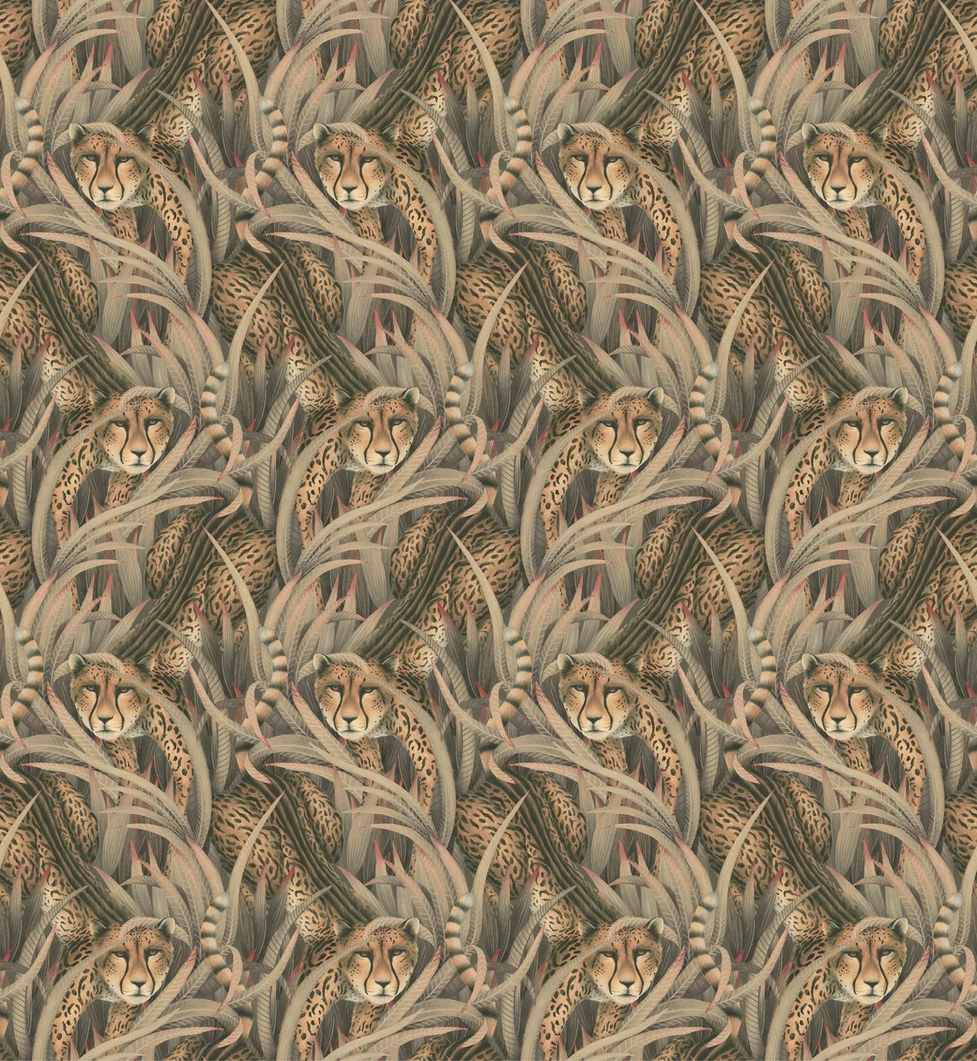 Cole&Son Cheetah Prowl Sample Tapete Muster Gepard