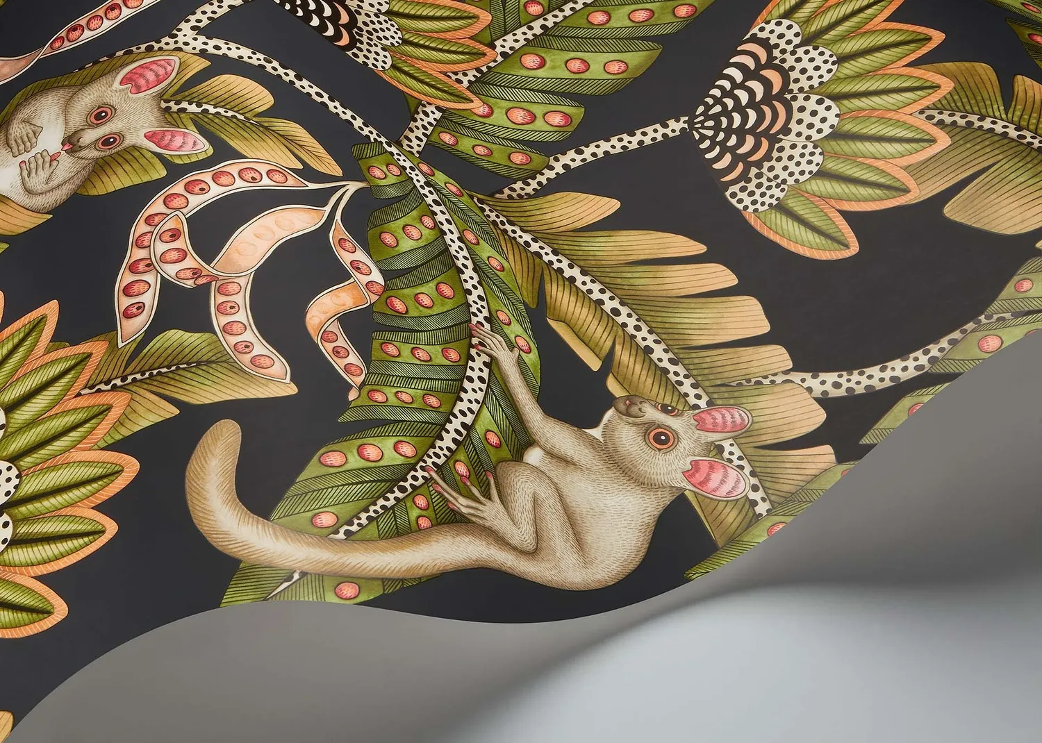 Cole & Son Bush Baby Tapetenmuster Tiermotiv