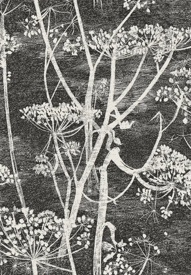 Cole&Son Cow Parsley Tapete