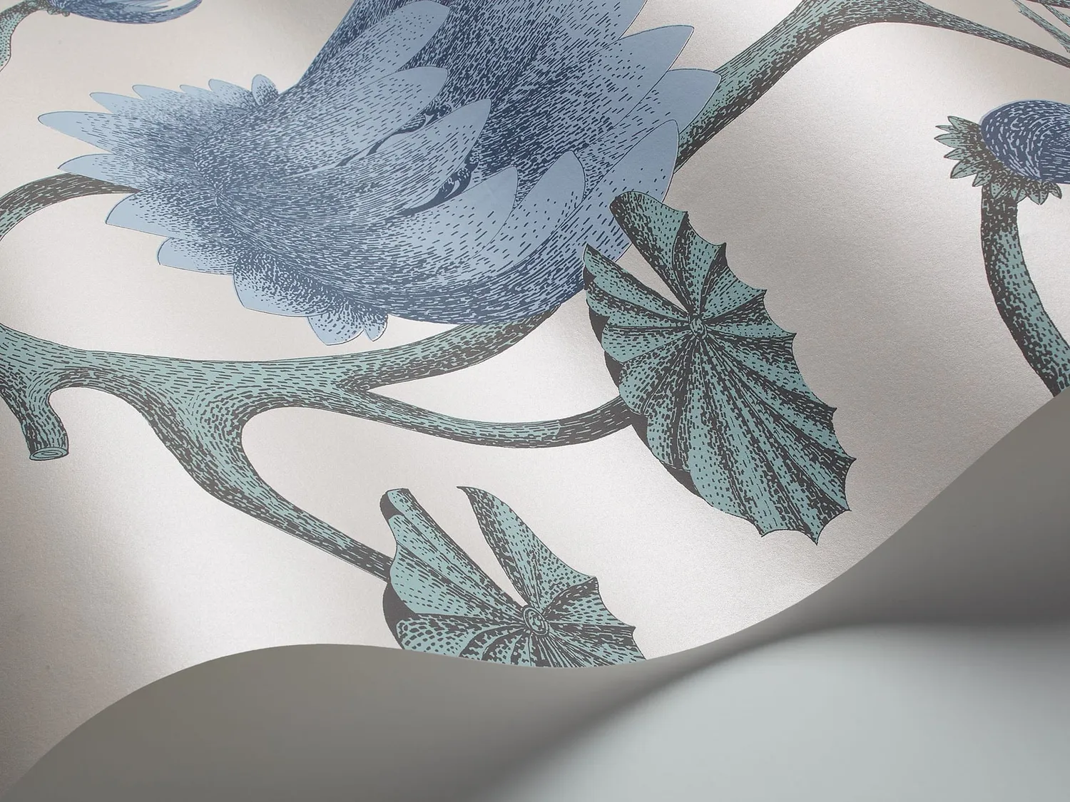 Cole&Son Summer Lily Tapetenmuster Lilie