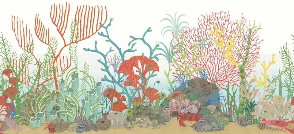 Cole&Son Archipelago Border Tapetenbordüre-Muster