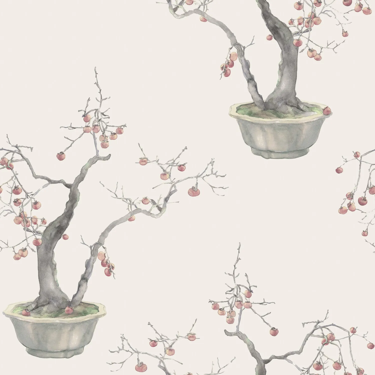 Cole&Son Kaki Persimmon Tapetenmuster Fruchtbaum
