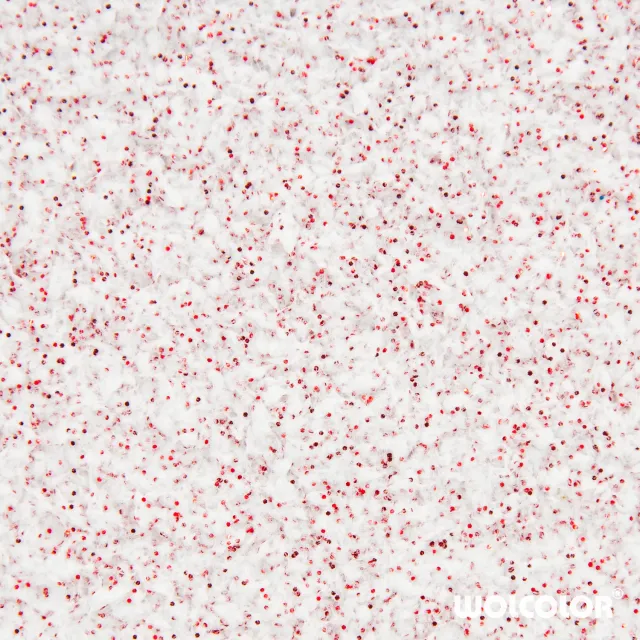 Wolcolor Classic Red Dream Baumwollputz Weiß Rotglitzer