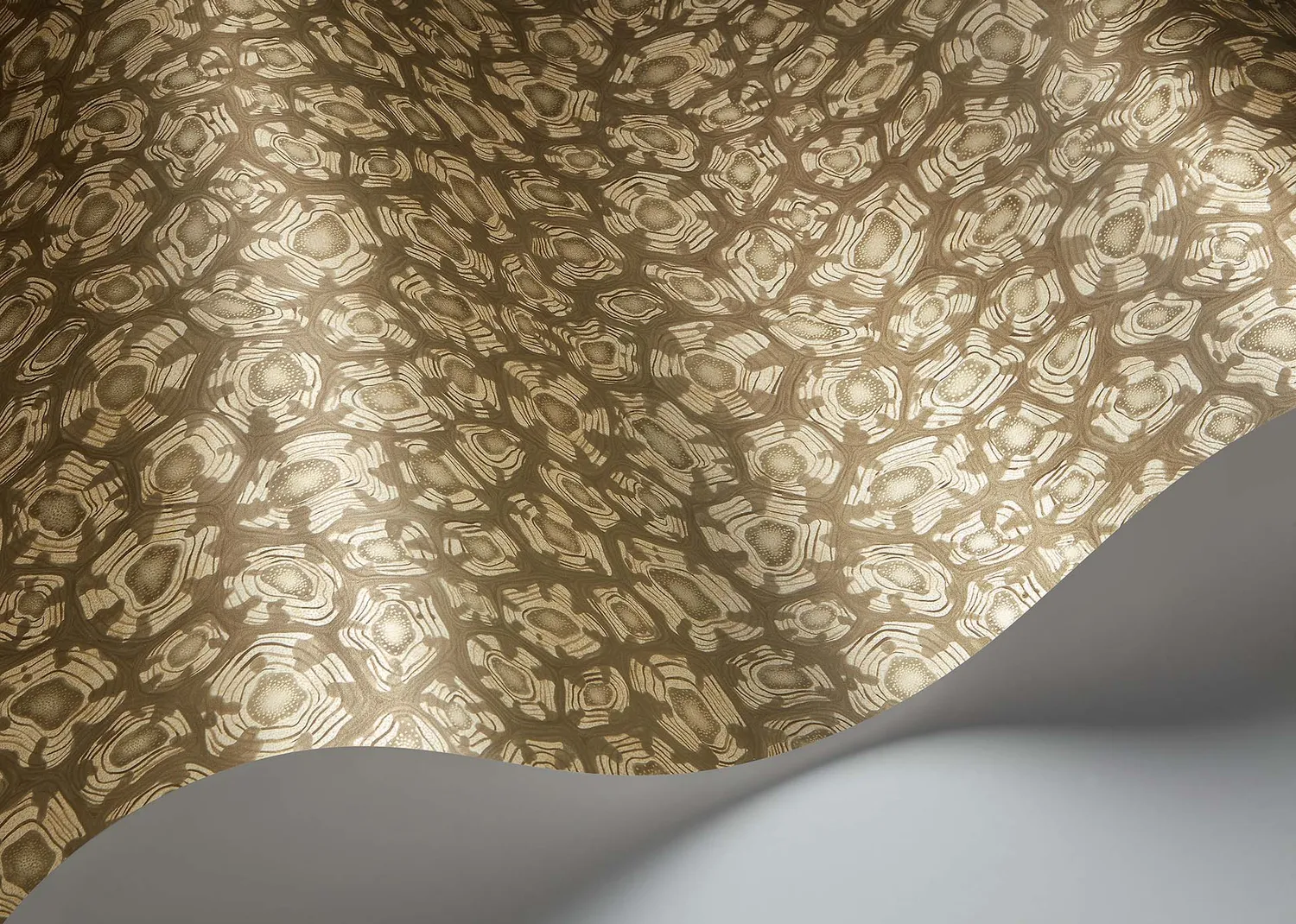 Cole&Son Savanna Shell Tapetenmuster Schildpattmuster