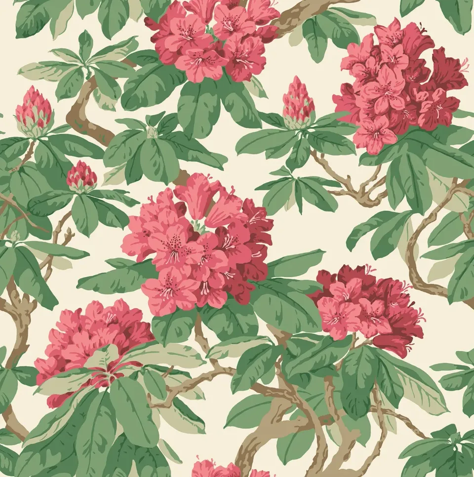Cole & Son Bourlie Tapete Blumenmuster Rhododendron