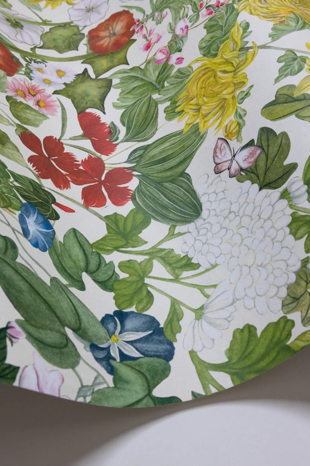 Cole & Son Flora Province Tapetenmuster floral