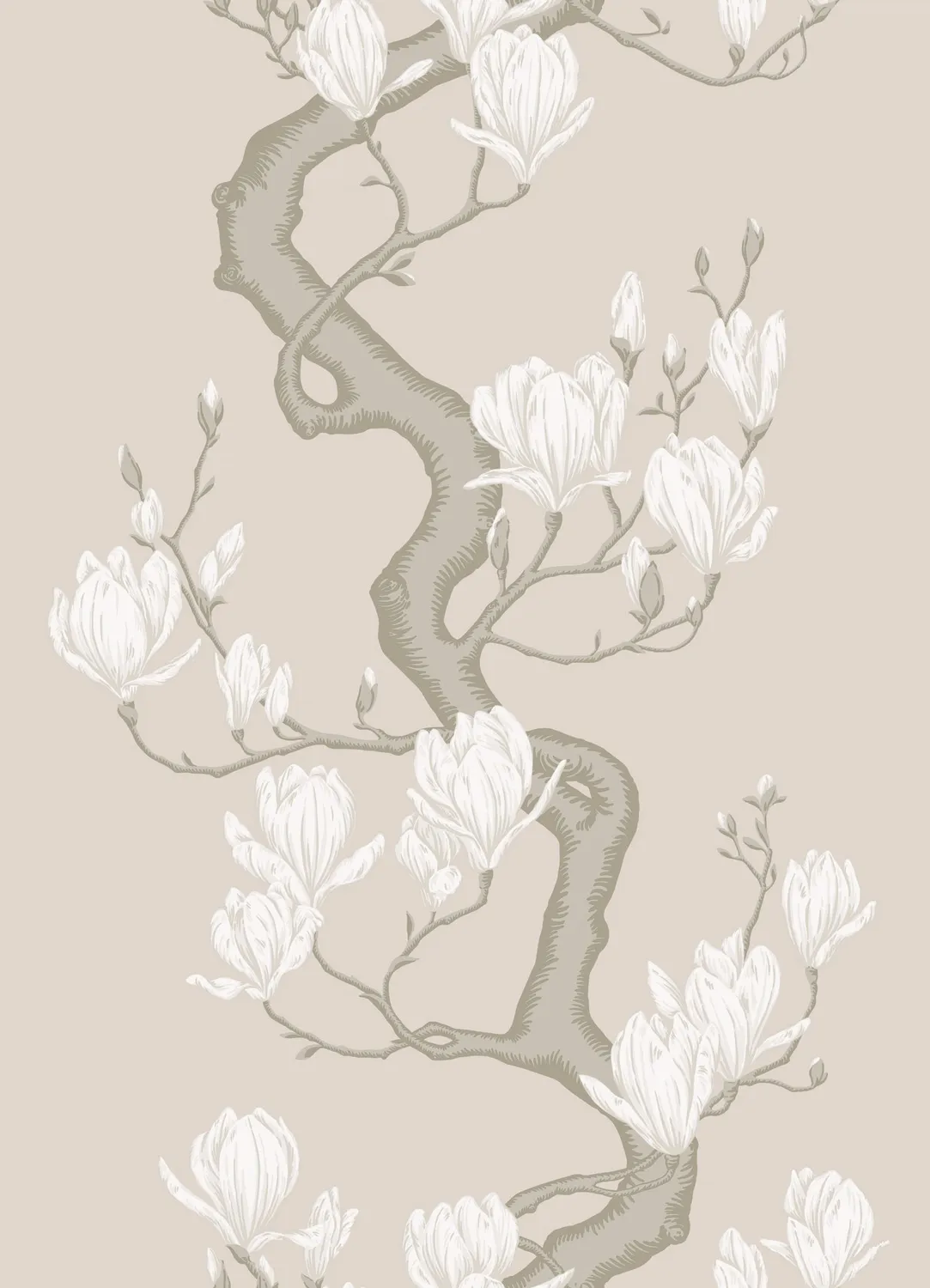 Cole & Son Classics Magnolia Tree Tapetenmuster floral