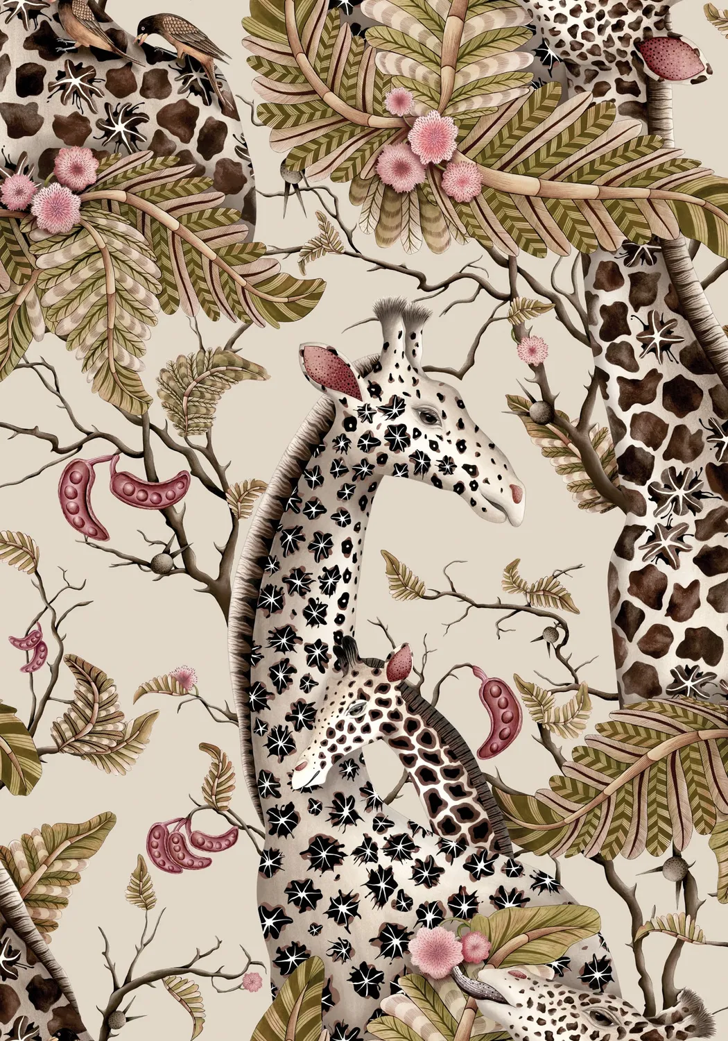 Cole & Son Ardmore Royal Giraffe Tapete Giraffenmotiv