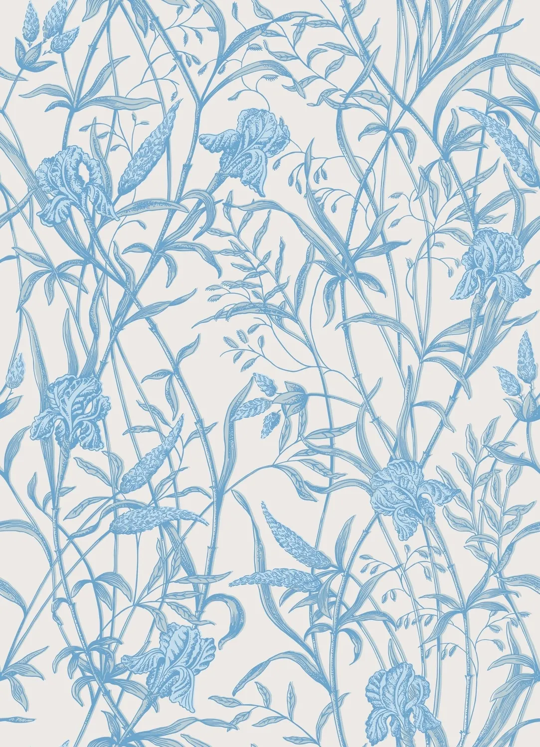 Cole&Son Iris Blumentapete florales Rankenmuster