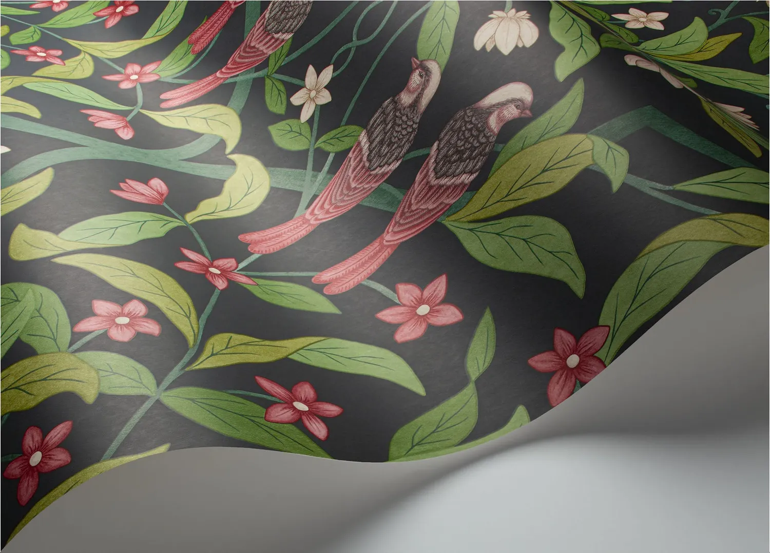 Cole & Son Jasmine & Serin Tapete Vögel