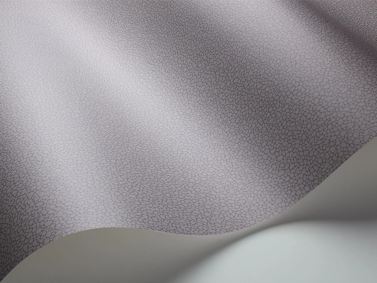 Cole&Son Pebble Sample Tapetenmuster